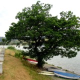 2607H 076 Diemelsee